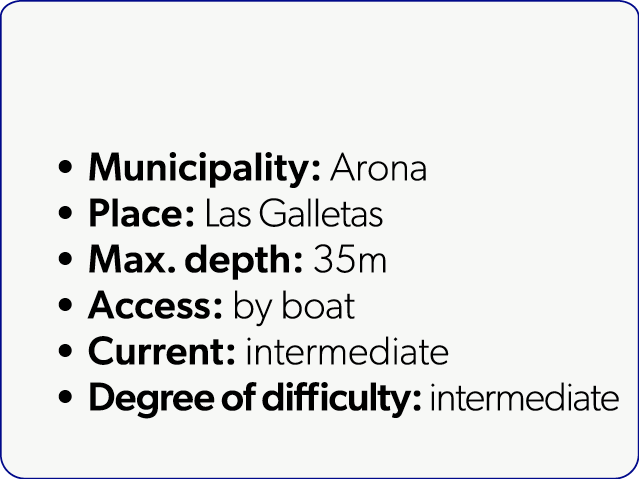  Municipality: Arona Place: Las Galletas Max. depth: 35m Access: by boat Current: intermediate Degree of difficulty: ...