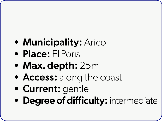 Municipality: Arico Place: El Poris Max. depth: 25m Access: along the coast Current: gentle Degree of difficulty: in...