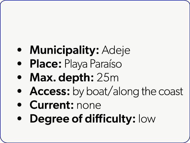  Municipality: Adeje Place: Playa Para so Max. depth: 25m Access: by boat/along the coast Current: none Degree of dif...