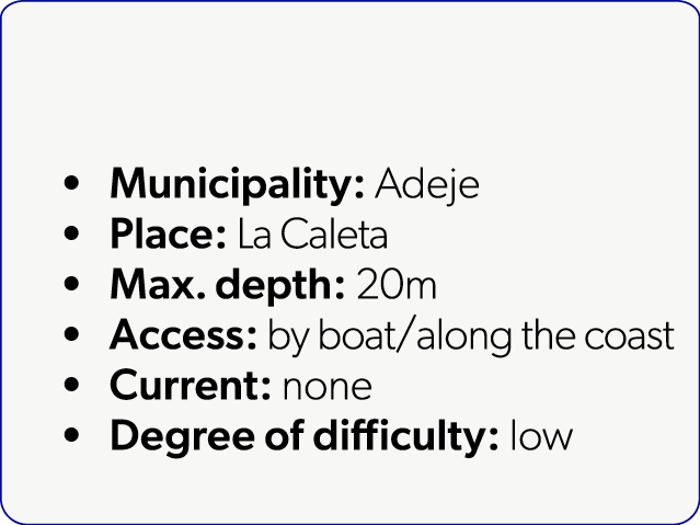  Municipality: Adeje Place: La Caleta Max. depth: 20m Access: by boat/along the coast Current: none Degree of difficu...