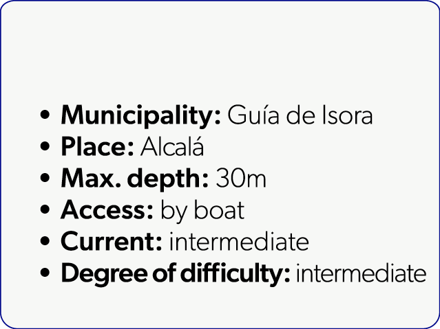  Municipality: Gu a de Isora Place: Alcal Max. depth: 30m Access: by boat Current: intermediate Degree of difficulty...
