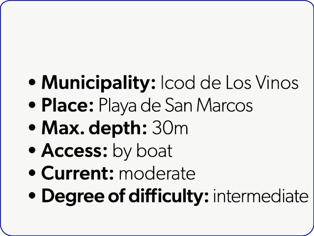  Municipality: Icod de Los Vinos Place: Playa de San Marcos Max. depth: 30m Access: by boat Current: moderate Degree ...