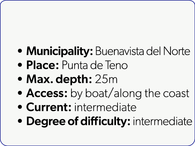  Municipality: Buenavista del Norte Place: Punta de Teno Max. depth: 25m Access: by boat/along the coast Current: int...