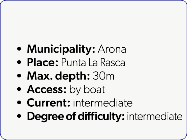  Municipality: Arona Place: Punta La Rasca Max. depth: 30m Access: by boat Current: intermediate Degree of difficulty...