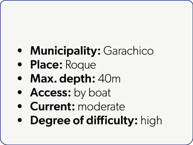  Municipality: Garachico Place: Roque Max. depth: 40m Access: by boat Current: moderate Degree of difficulty: high