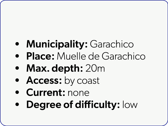  Municipality: Garachico Place: Muelle de Garachico Max. depth: 20m Access: by coast Current: none Degree of difficul...