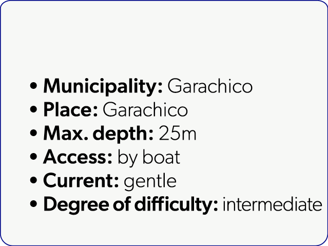  Municipality: Garachico Place: Garachico Max. depth: 25m Access: by boat Current: gentle Degree of difficulty: inter...