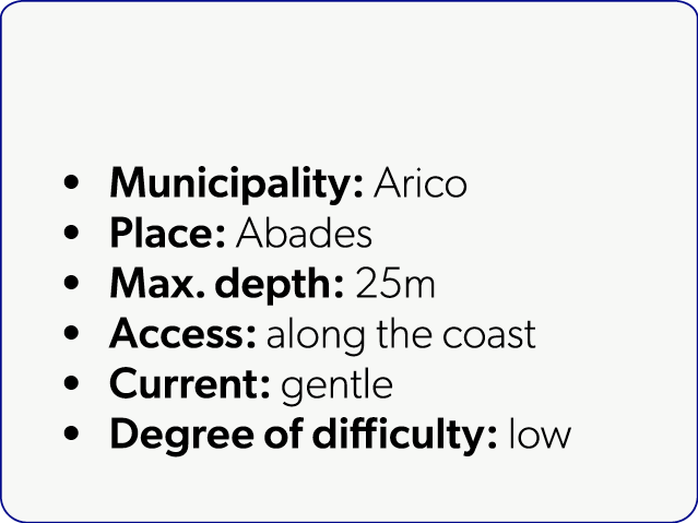  Municipality: Arico Place: Abades Max. depth: 25m Access: along the coast Current: gentle Degree of difficulty: low