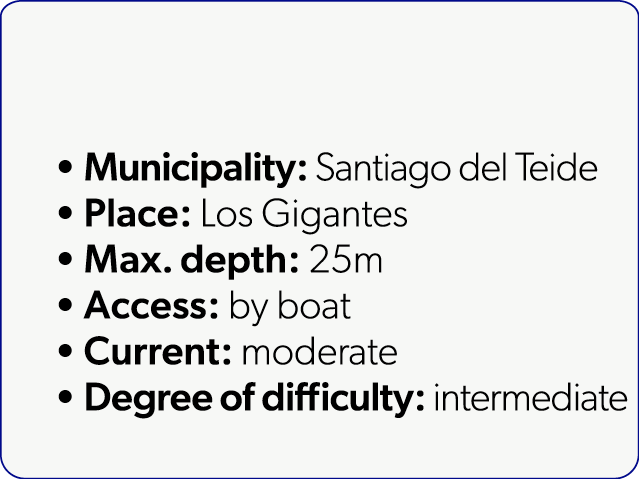  Municipality: Santiago del Teide Place: Los Gigantes Max. depth: 25m Access: by boat Current: moderate Degree of dif...