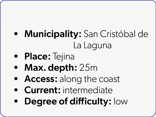  Municipality: San Crist bal de La Laguna Place: Tejina Max. depth: 25m Access: along the coast Current: intermediate...