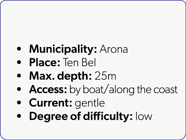  Municipality: Arona Place: Ten Bel Max. depth: 25m Access: by boat/along the coast Current: gentle Degree of difficu...