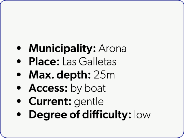  Municipality: Arona Place: Las Galletas Max. depth: 25m Access: by boat Current: gentle Degree of difficulty: low