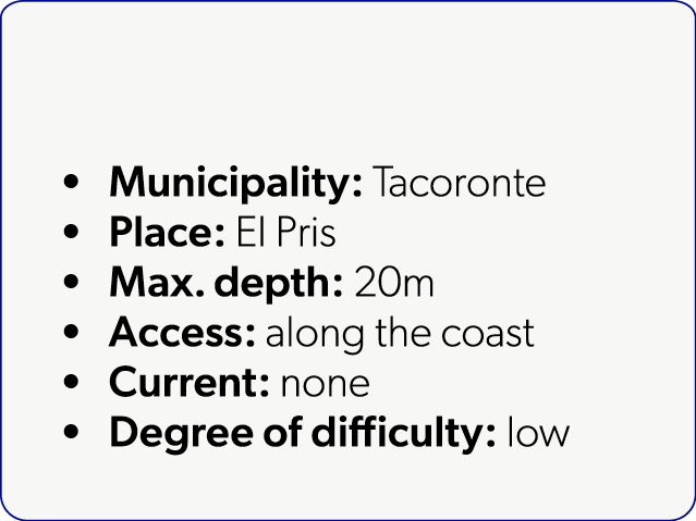  Municipality: Tacoronte Place: El Pris Max. depth: 20m Access: along the coast Current: none Degree of difficulty: low