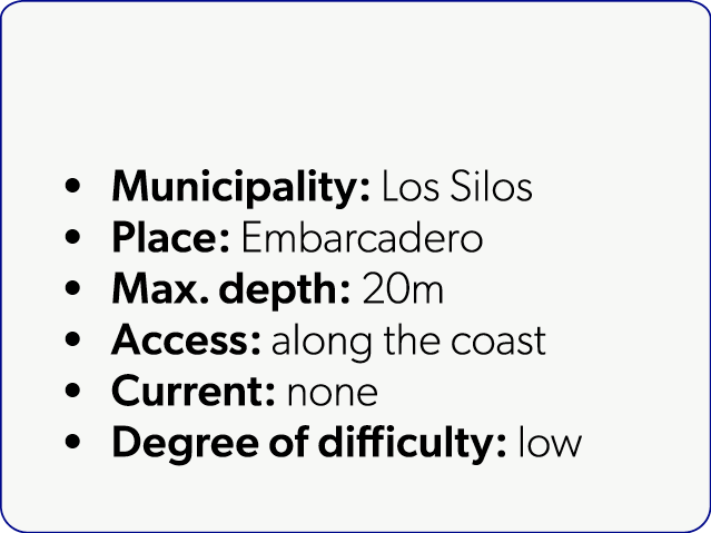  Municipality: Los Silos Place: Embarcadero Max. depth: 20m Access: along the coast Current: none Degree of difficult...