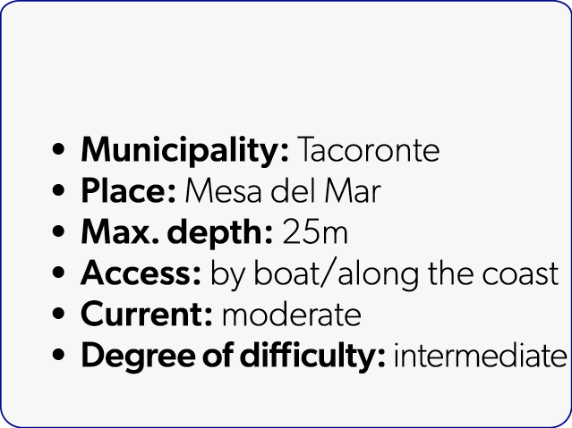 Municipality: Tacoronte Place: Mesa del Mar Max. depth: 25m Access: by boat/along the coast Current: moderate Degree...