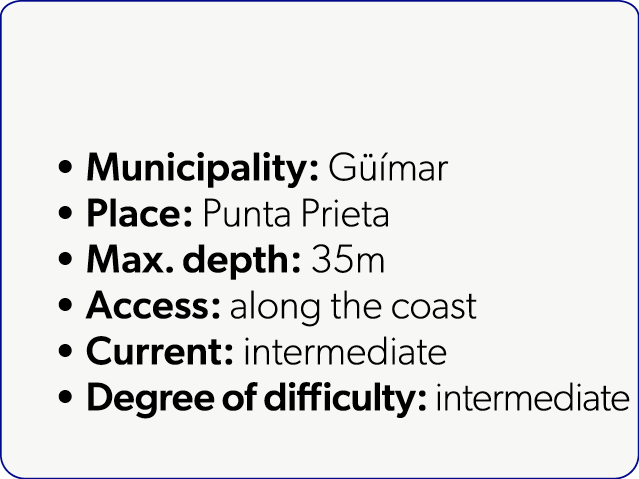  Municipality: G mar Place: Punta Prieta Max. depth: 35m Access: along the coast Current: intermediate Degree of dif...
