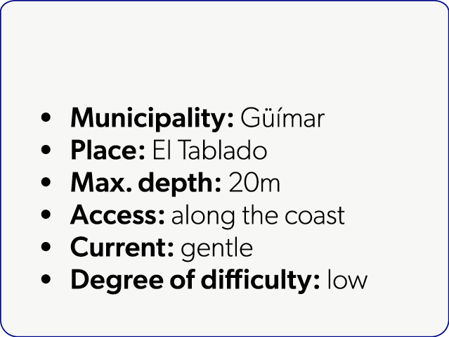  Municipality: G mar Place: El Tablado Max. depth: 20m Access: along the coast Current: gentle Degree of difficulty:...