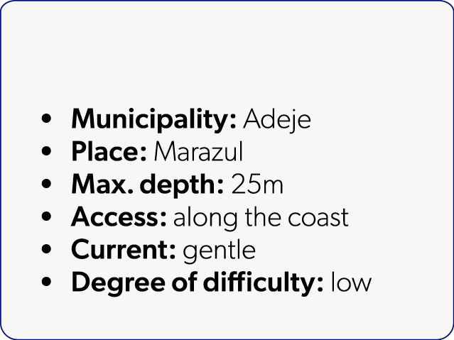  Municipality: Adeje Place: Marazul Max. depth: 25m Access: along the coast Current: gentle Degree of difficulty: low