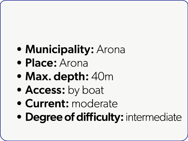  Municipality: Arona Place: Arona Max. depth: 40m Access: by boat Current: moderate Degree of difficulty: intermediate