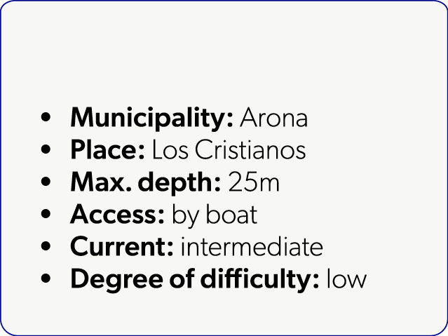  Municipality: Arona Place: Los Cristianos Max. depth: 25m Access: by boat Current: intermediate Degree of difficulty...