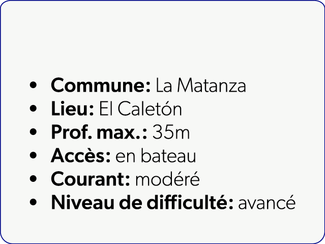 Commune: La Matanza Lieu: El Calet n Prof. max.: 35m Acc s: en bateau Courant: mod r Niveau de difficult : avanc 