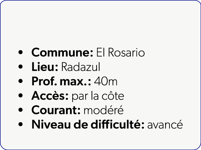 Commune: El Rosario Lieu: Radazul Prof. max.: 40m Acc s: par la c te Courant: mod r Niveau de difficult : avanc 