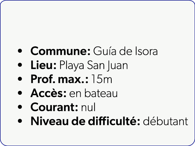  Commune: Gu a de Isora Lieu: Playa San Juan Prof. max.: 15m Acc s: en bateau Courant: nul Niveau de difficult : d bu...