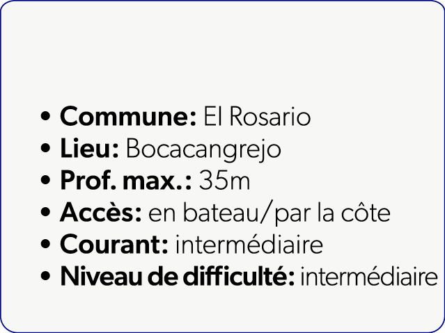  Commune: El Rosario Lieu: Bocacangrejo Prof. max.: 35m Acc s: en bateau/par la c te Courant: interm diaire Niveau de...