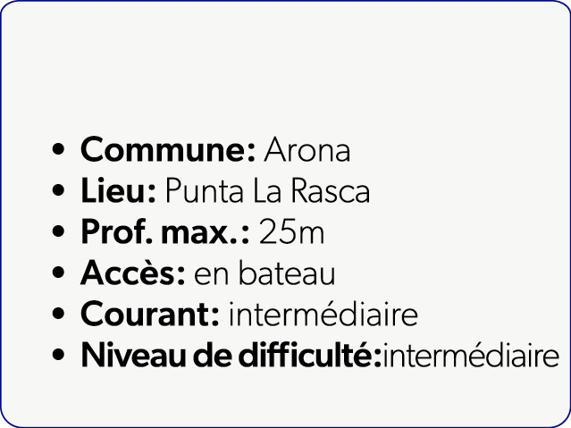  Commune: Arona Lieu: Punta La Rasca Prof. max.: 25m Acc s: en bateau Courant: interm diaire Niveau de difficult :int...