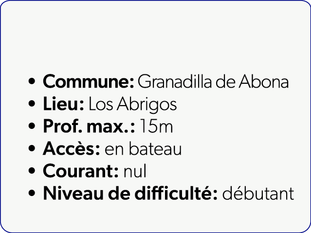  Commune: Granadilla de Abona Lieu: Los Abrigos Prof. max.: 15m Acc s: en bateau Courant: nul Niveau de difficult : d...