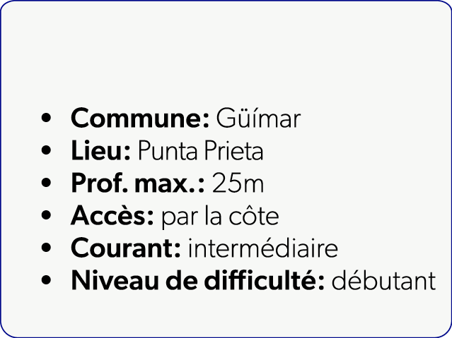  Commune: G mar Lieu: Punta Prieta Prof. max.: 25m Acc s: par la c te Courant: interm diaire Niveau de difficult : d...
