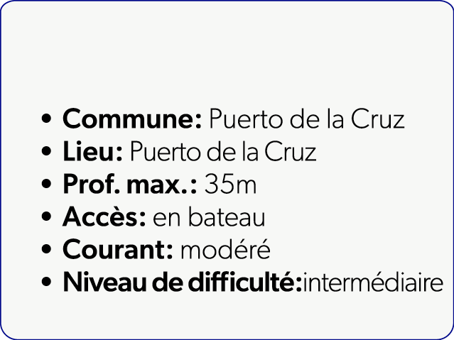  Commune: Puerto de la Cruz Lieu: Puerto de la Cruz Prof. max.: 35m Acc s: en bateau Courant: mod r Niveau de diffic...