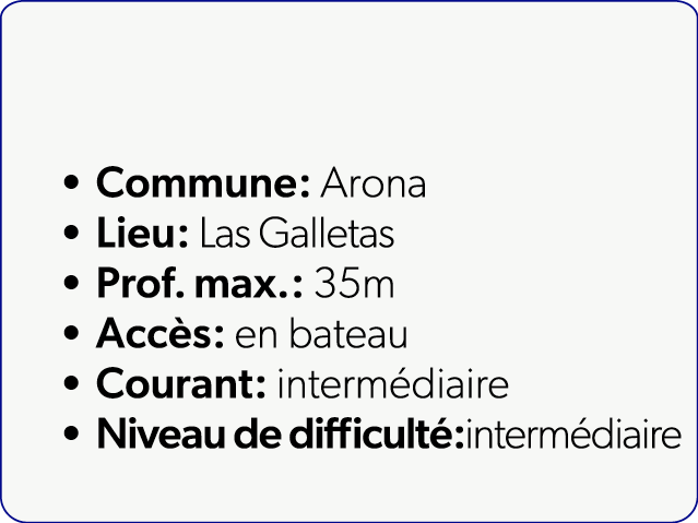  Commune: Arona Lieu: Las Galletas Prof. max.: 35m Acc s: en bateau Courant: interm diaire Niveau de difficult :inter...