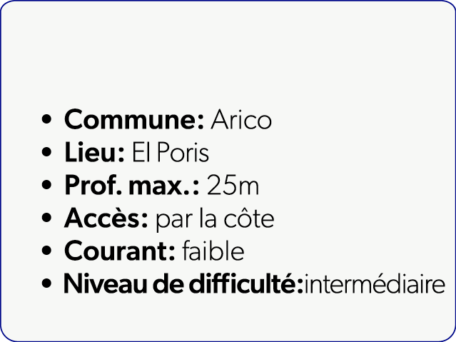  Commune: Arico Lieu: El Poris Prof. max.: 25m Acc s: par la c te Courant: faible Niveau de difficult :interm diaire