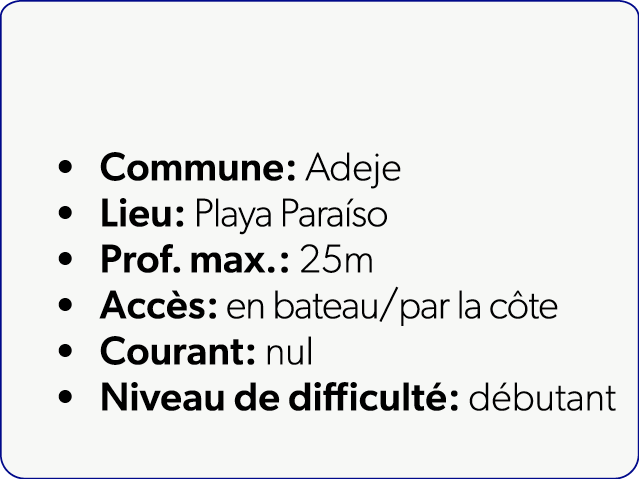  Commune: Adeje Lieu: Playa Para so Prof. max.: 25m Acc s: en bateau/par la c te Courant: nul Niveau de difficult : d...