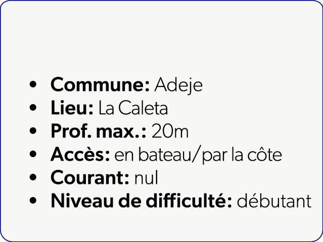  Commune: Adeje Lieu: La Caleta Prof. max.: 20m Acc s: en bateau/par la c te Courant: nul Niveau de difficult : d butant