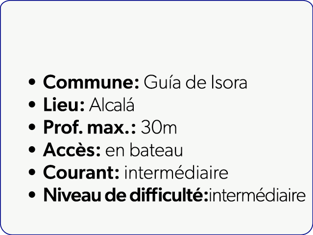  Commune: Gu a de Isora Lieu: Alcal Prof. max.: 30m Acc s: en bateau Courant: interm diaire Niveau de difficult :int...