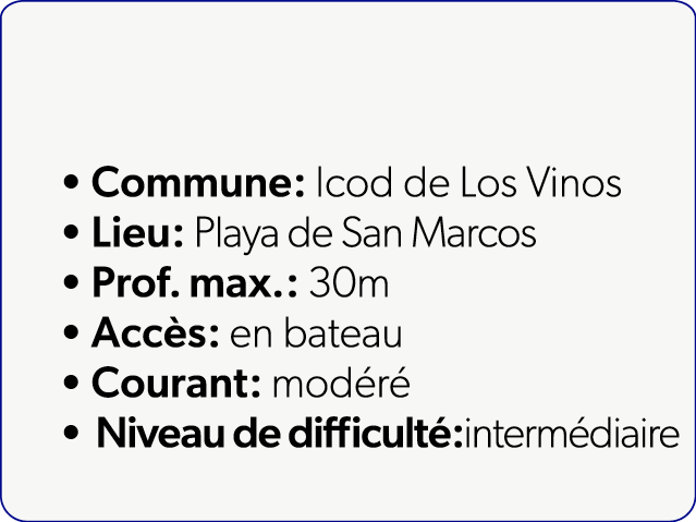  Commune: Icod de Los Vinos Lieu: Playa de San Marcos Prof. max.: 30m Acc s: en bateau Courant: mod r Niveau de diff...