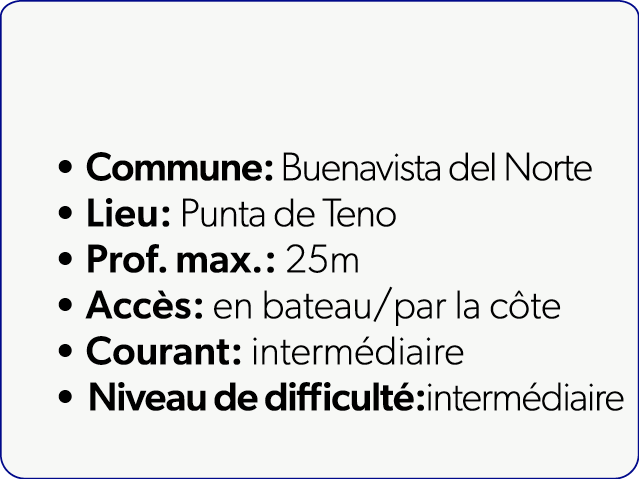  Commune: Buenavista del Norte Lieu: Punta de Teno Prof. max.: 25m Acc s: en bateau/par la c te Courant: interm diair...
