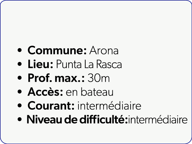 Commune: Arona Lieu: Punta La Rasca Prof. max.: 30m Acc s: en bateau Courant: interm diaire Niveau de difficult :int...
