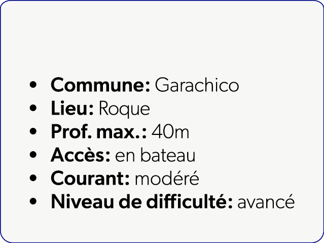  Commune: Garachico Lieu: Roque Prof. max.: 40m Acc s: en bateau Courant: mod r Niveau de difficult : avanc 