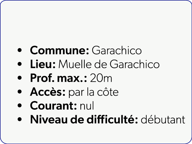  Commune: Garachico Lieu: Muelle de Garachico Prof. max.: 20m Acc s: par la c te Courant: nul Niveau de difficult : d...