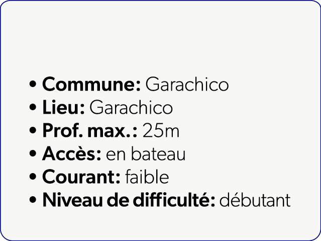  Commune: Garachico Lieu: Garachico Prof. max.: 25m Acc s: en bateau Courant: faible Niveau de difficult : d butant