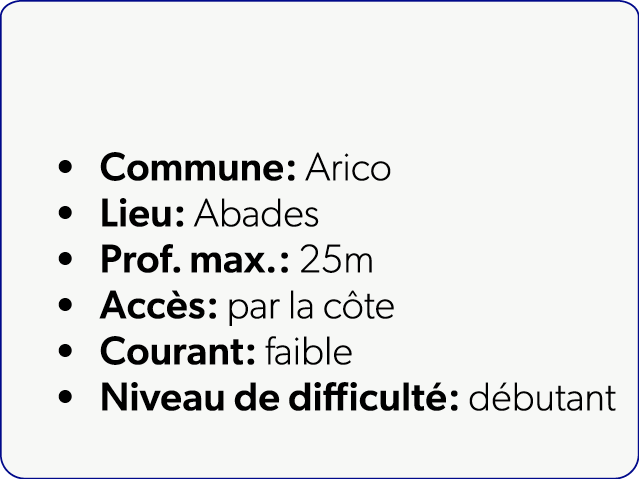  Commune: Arico Lieu: Abades Prof. max.: 25m Acc s: par la c te Courant: faible Niveau de difficult : d butant