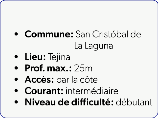  Commune: San Crist bal de La Laguna Lieu: Tejina Prof. max.: 25m Acc s: par la c te Courant: interm diaire Niveau de...