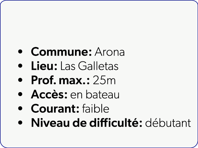  Commune: Arona Lieu: Las Galletas Prof. max.: 25m Acc s: en bateau Courant: faible Niveau de difficult : d butant