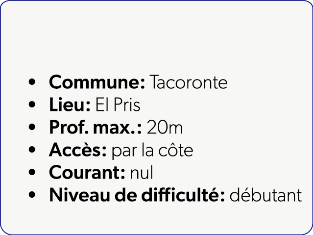  Commune: Tacoronte Lieu: El Pris Prof. max.: 20m Acc s: par la c te Courant: nul Niveau de difficult : d butant
