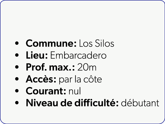  Commune: Los Silos Lieu: Embarcadero Prof. max.: 20m Acc s: par la c te Courant: nul Niveau de difficult : d butant