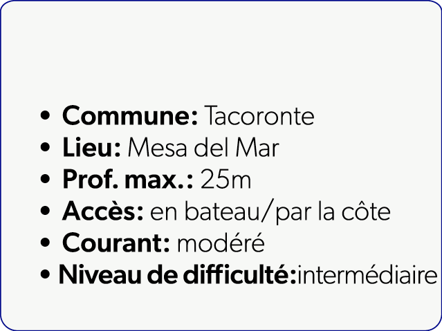 Commune: Tacoronte Lieu: Mesa del Mar Prof. max.: 25m Acc s: en bateau/par la c te Courant: mod r Niveau de difficu...