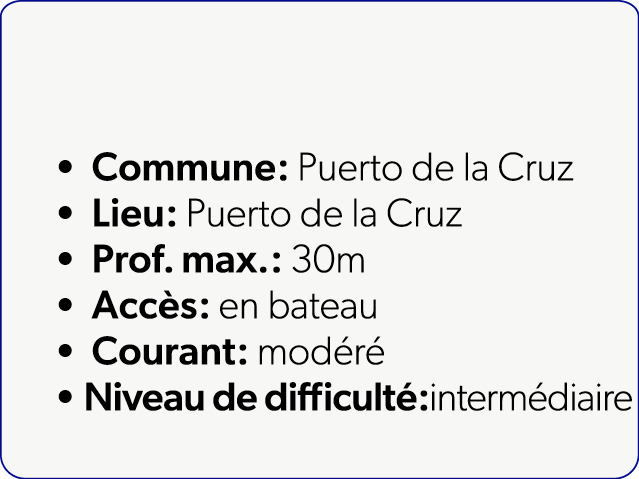  Commune: Puerto de la Cruz Lieu: Puerto de la Cruz Prof. max.: 30m Acc s: en bateau Courant: mod r Niveau de diffic...